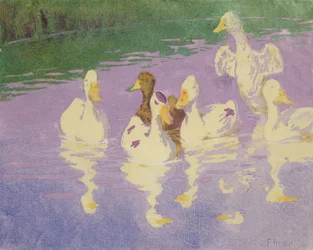 Ducks, 1896
